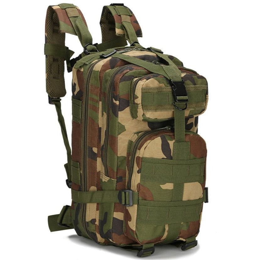 CPCG1 Plate Carrier with Mag pouches. Ares Tactical Supply