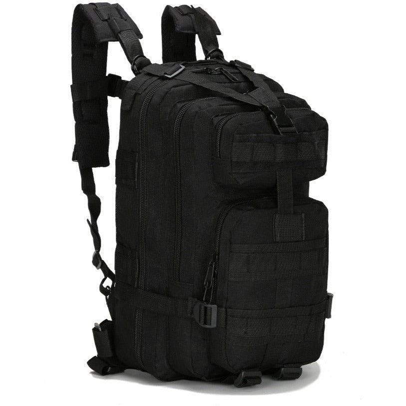 CPCG1 Plate Carrier with Mag pouches. Ares Tactical Supply