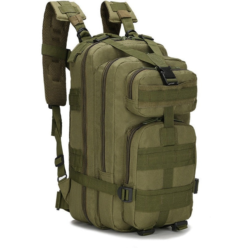 CPCG1 Plate Carrier with Mag pouches. Ares Tactical Supply